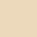 Beige 009